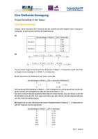 FLS_Sek1_Analysis_Loesung_DK.pdf