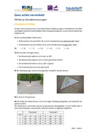 WIN_Sek1_Geometrie_Loesung_DK.pdf