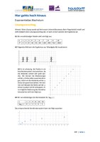 EXP_Sek2_Analysis_Loesung_DK.pdf