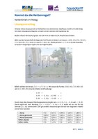 KET_Sek2_Analysis_Loesung_DK.pdf